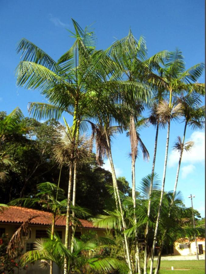 Garden Hotel E Eventos Benevides Luaran gambar